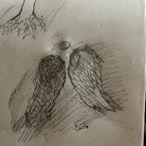 untitled 11