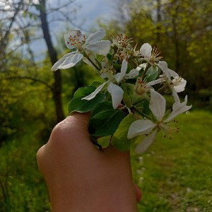 рэп Даши и Арины