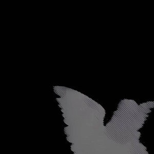меня не зовут shadow