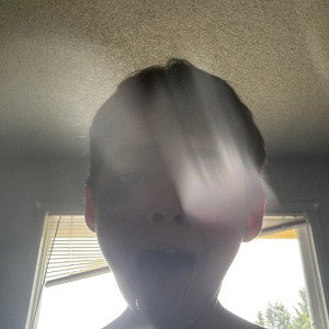gay bitch