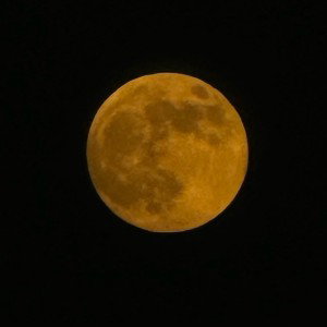 SYZYGY