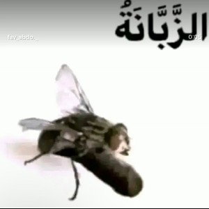 Ты снич
