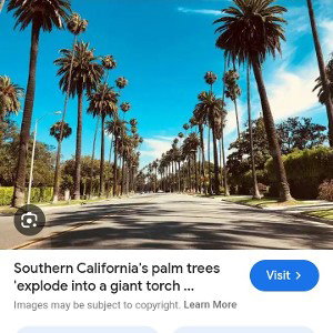 California Breeze