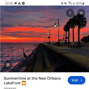Summer time in New Orleans 