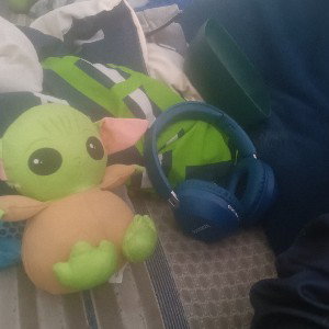 he new
