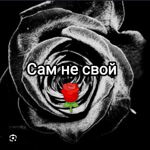 сам не свой 