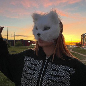 @lookstizzy - не стоит