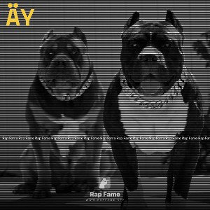 äy