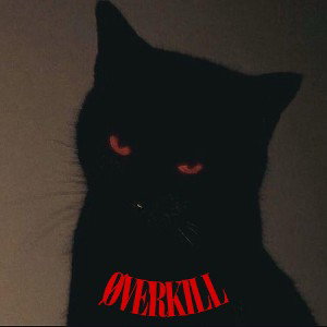 HOW DO YOU DO - ØVERKILL (Remix)