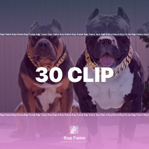 🔥30 CLIP🔥