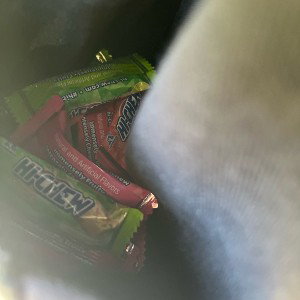mambas also