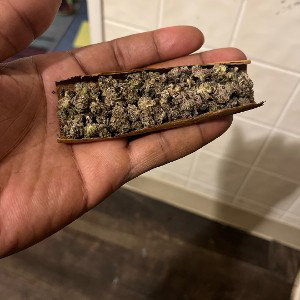 rolled a collection