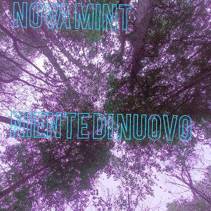 NIENTE DI NUOVO - Nova Mint 