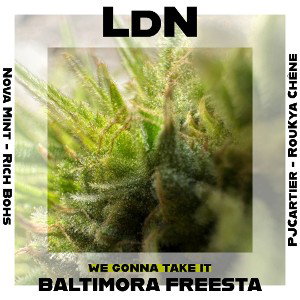 BALTIMORA Freestyle 