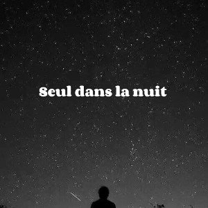 seul dans la nuit