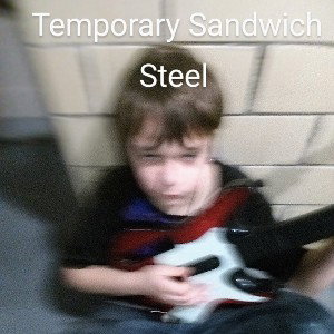 Steel (FT: Megathecancer 0)