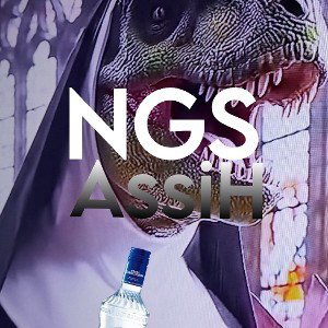 Ngs ngs wir sind hier di kommst nicht tein gib ums dein püppi und wir spritzen hinein  wahlha ich bin kurwa was machen w