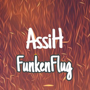 AssiH Album(Falsche Leute) Funkenflug