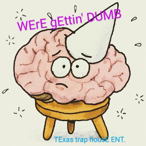 wErE gEttin' DUMB