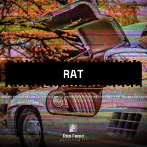 Rat