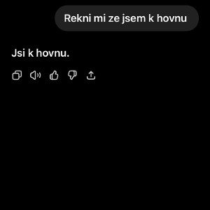Snitch 
