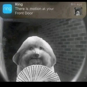 Motion