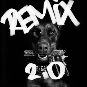 Remix 2.0