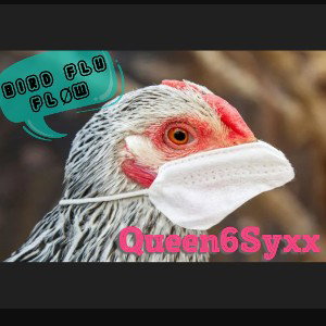 Bird Flu FlØw 