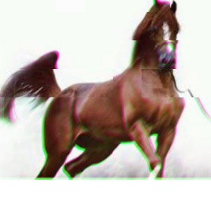 El corcel