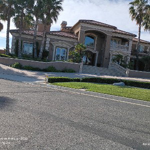 my new neighbors