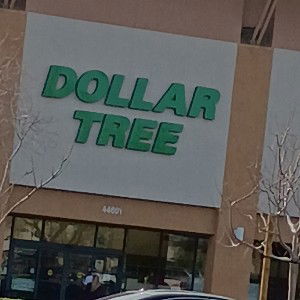 dollar tree flowwww