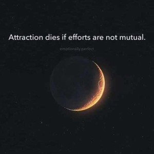 shooting for stars