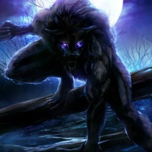 🐺🐺🐺🐺🐺