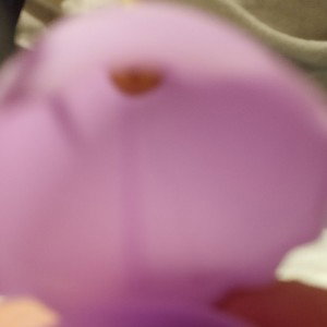 the egg