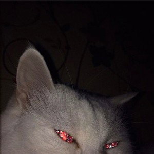 Mulan