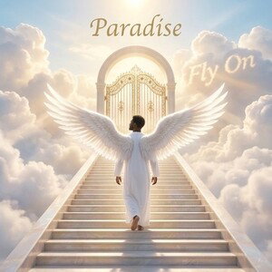 Fly On