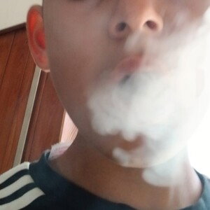 quatro mori 