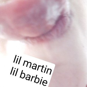 lil_barbie