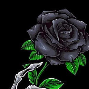 Black Rose