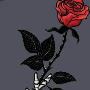 Hold My Rose
