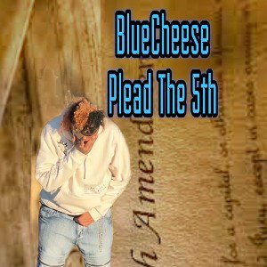 Plead The Fifth