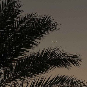 DUBAI SPOT
