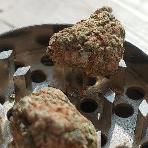 G13