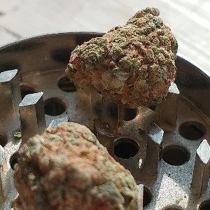 G13