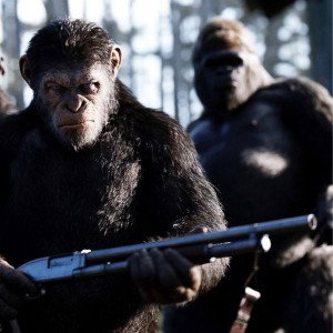 😈 GORILLA EMPIRE 👿