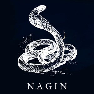 Naagin X Drill 