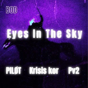EYES IN THE SKY