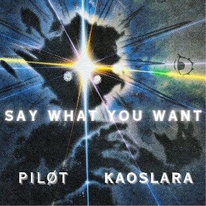 SAY WHAT YOU WANT