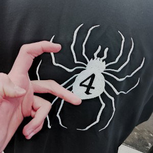 HMVSF - raaa