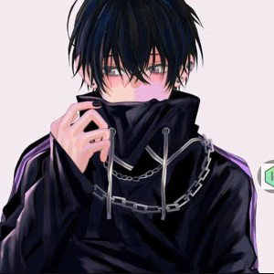 Новичок